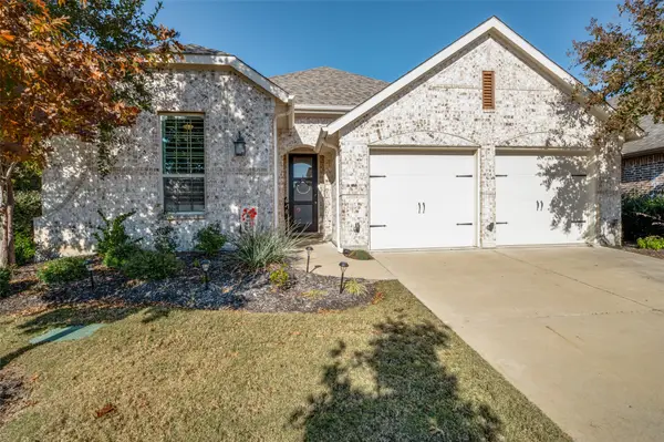 10017 Echo Summit Drive, Little Elm, TX 75068