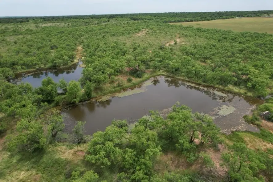 TBD Fm 600, Anson, TX 79501 - Image #1