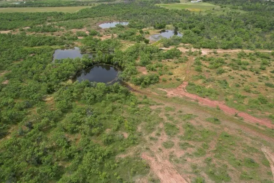 TBD Fm 600, Anson, TX 79501 - Image #2