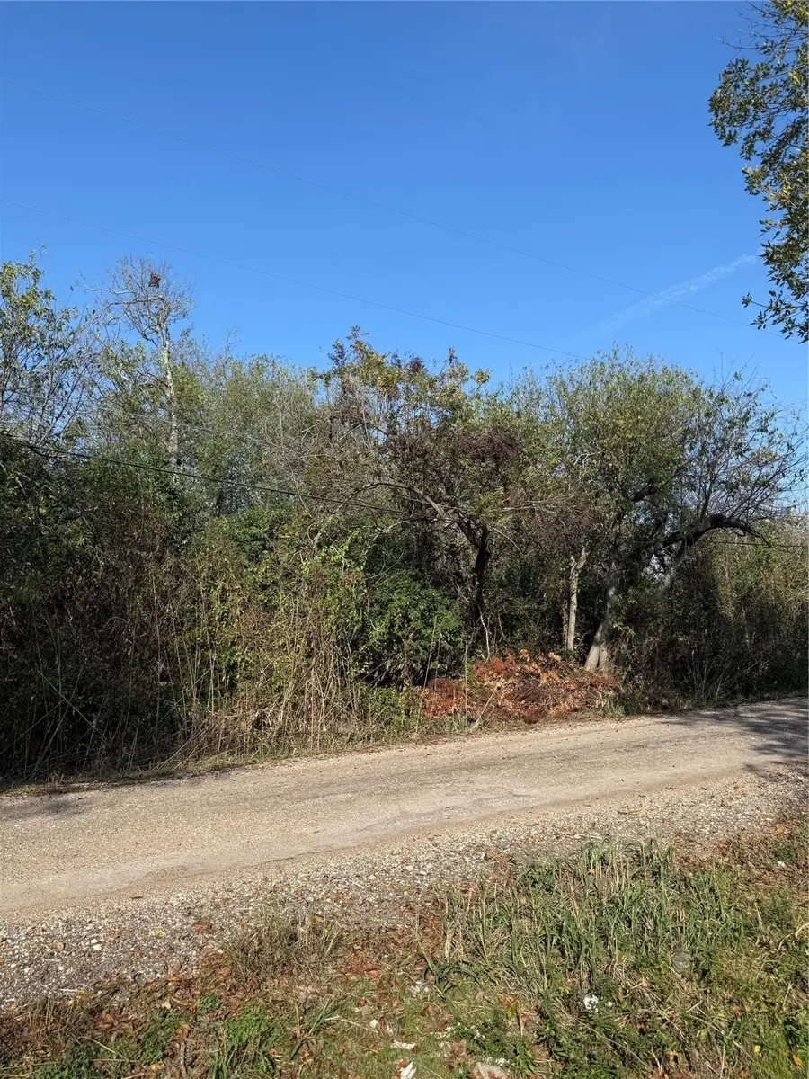 319 Front Street, Holland, TX 76534 - Image #3