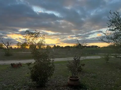 831 Cullins Road, Rockwall, TX 75032 - Image #3