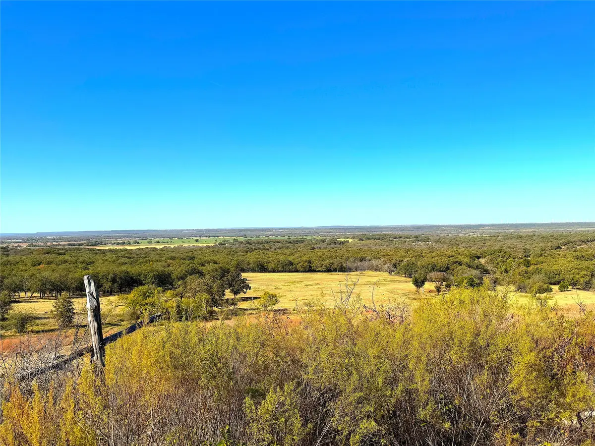 1849 Two Bush Road, Perrin, TX 76486 - Image #1