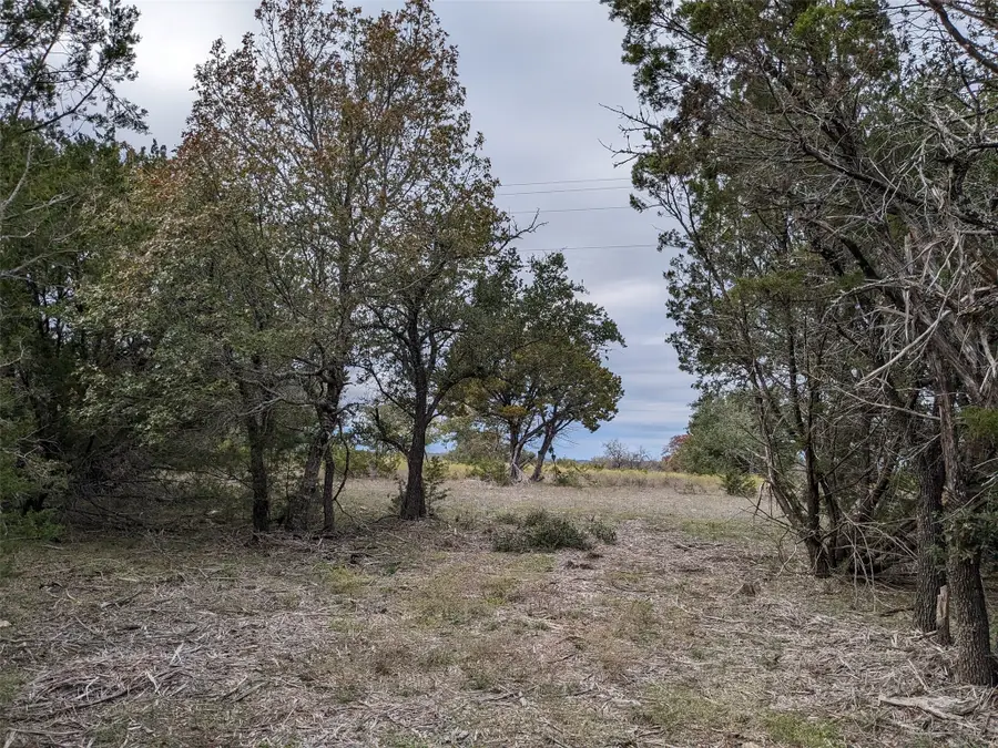 1314 Cr 127, Carlton, TX 76456 - Image #2