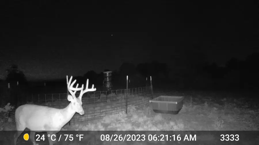 11653 Fm 1226 Parcel C, Hawley, TX 79525 - Image #2