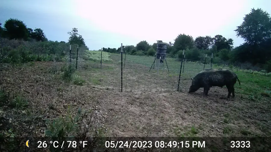 11653 Fm 1226 Parcel C, Hawley, TX 79525 - Image #3