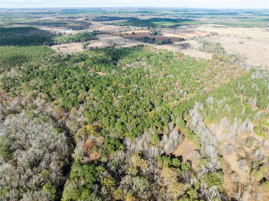 00 Cr 2237, Bagwell, TX 75412 - Image #3