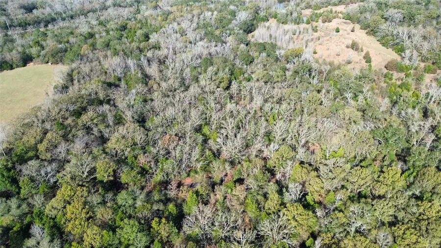 TBD Lot 2 Vz County Road 4134, Canton, TX 75103 - Image #3