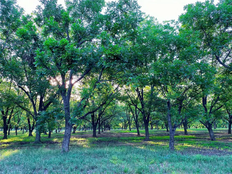 751 County Road 424, Comanche, TX 76442 - Image #2