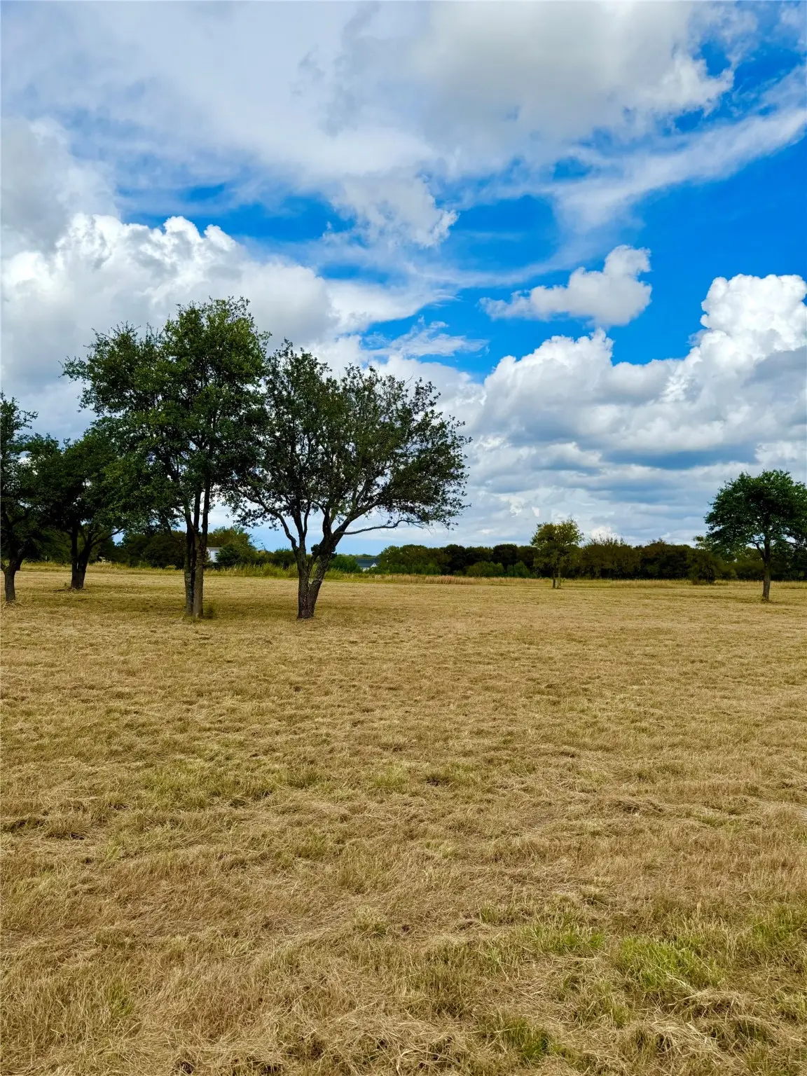 TBD Lot 15 County Road 3811, Wills Point, TX 75169 - Image #1