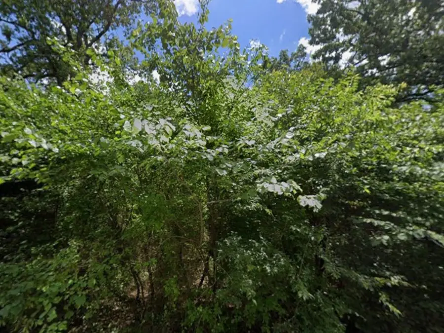 00 Lakeview Drive, Quinlan, TX 75474 - Image #3