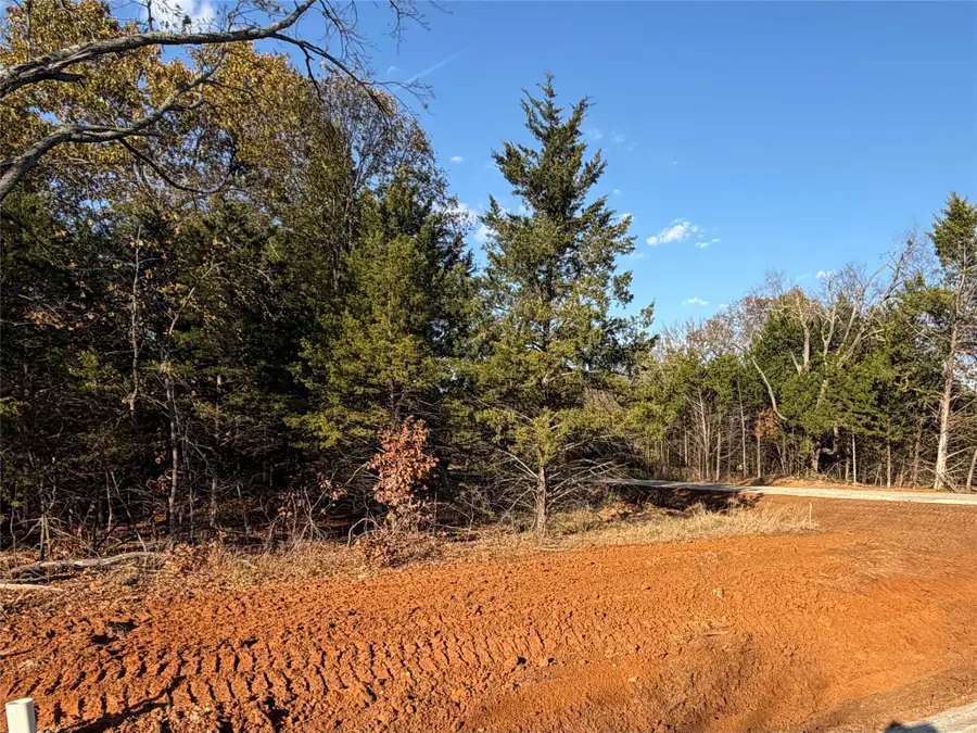 491 Reflection Bay Boulevard, Gordonville, TX 76245 - Image #2