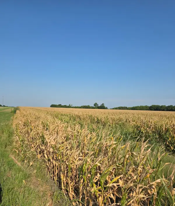 0000 Hwy 82, Honey Grove, TX 75446