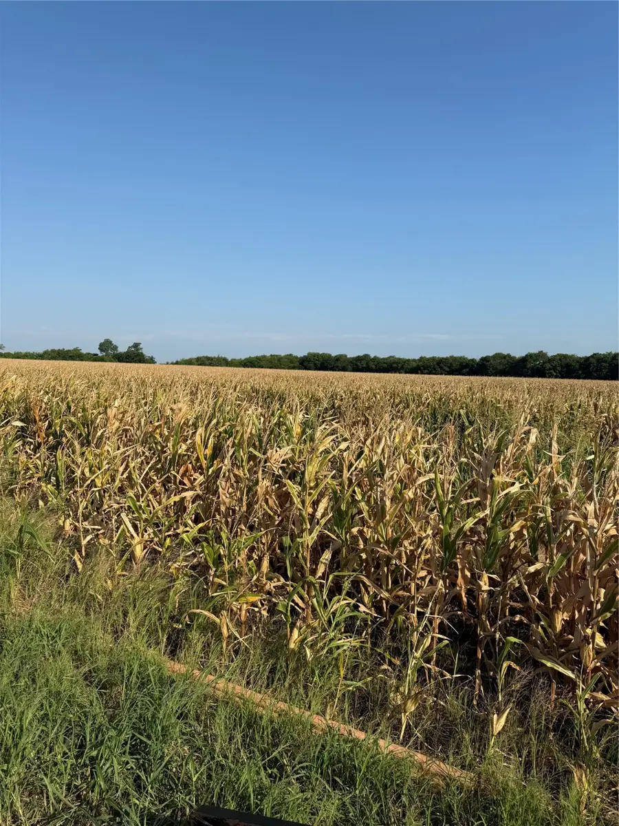 0000 Hwy 82, Honey Grove, TX 75446 - Image #2