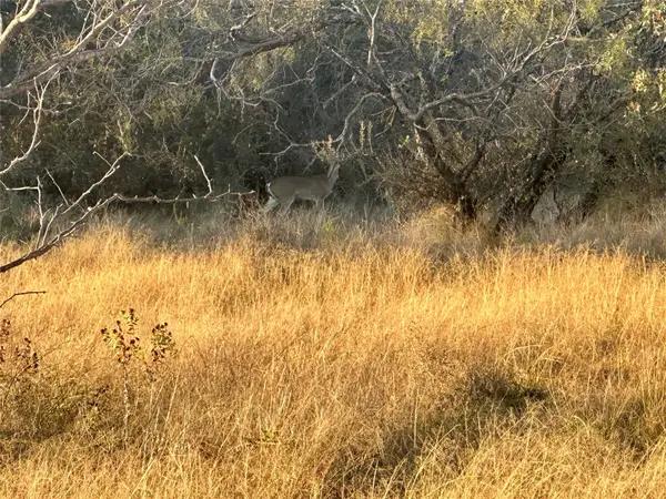 2112-C County Road 126, Gordon, TX 76453