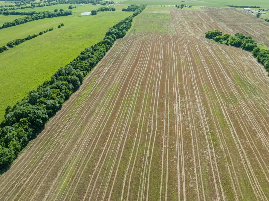 000 S Farm Road 196, Blossom, TX 75416 - Image #2