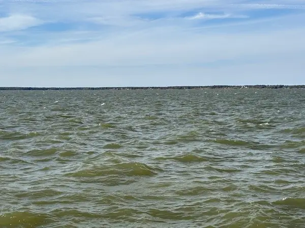 9 Captains Court, Streetman, TX 75859