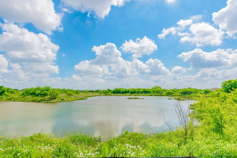 9025 Flying Eagle Lane, Fort Worth, TX 76131 - Image #3