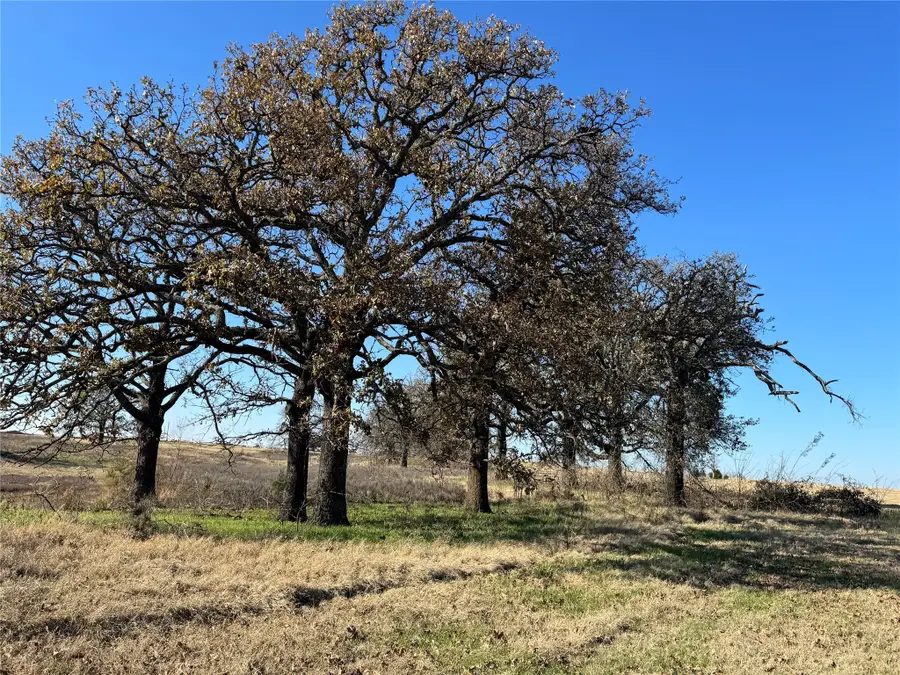 0000 Fm 901, Gordonville, TX 76273 - Image #3