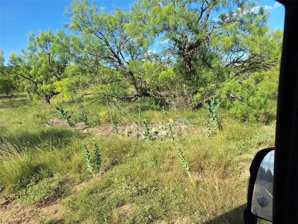 0 Lakeside Circle, May, TX 76857