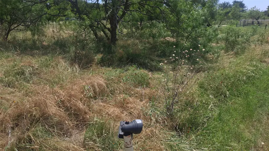 00000 Lakeside Circle, May, TX 76857 - Image #3