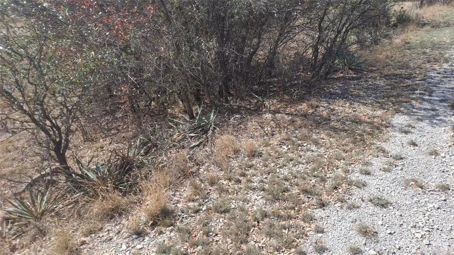 0 Oak Meadow Drive, May, TX 76857 - Image #3