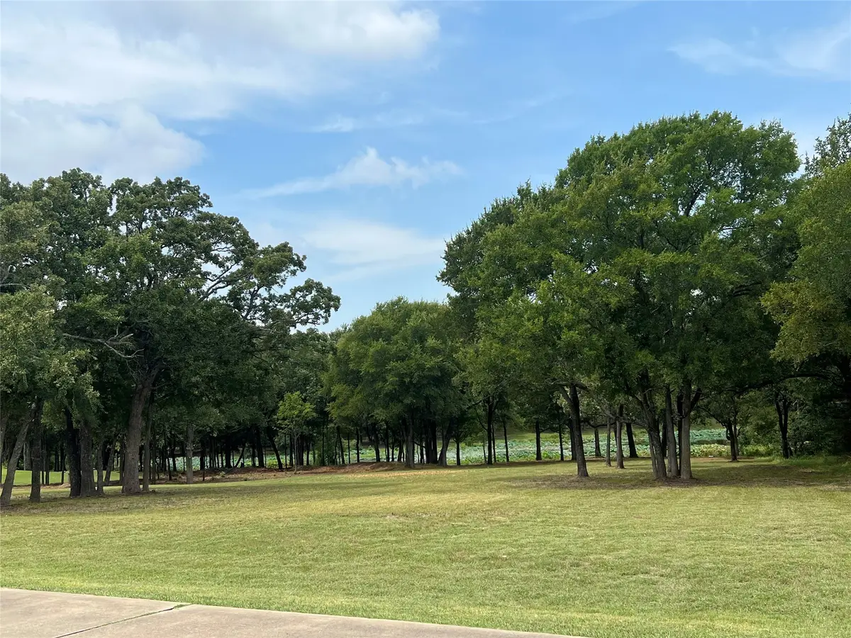 1121 Crystal Lake Drive, Wills Point, TX 75169 - Image #1