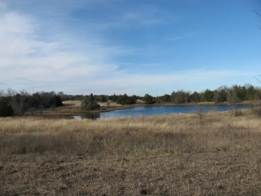 TBD Cr 3330 Road, Dodd City, TX 75438 - Image #3