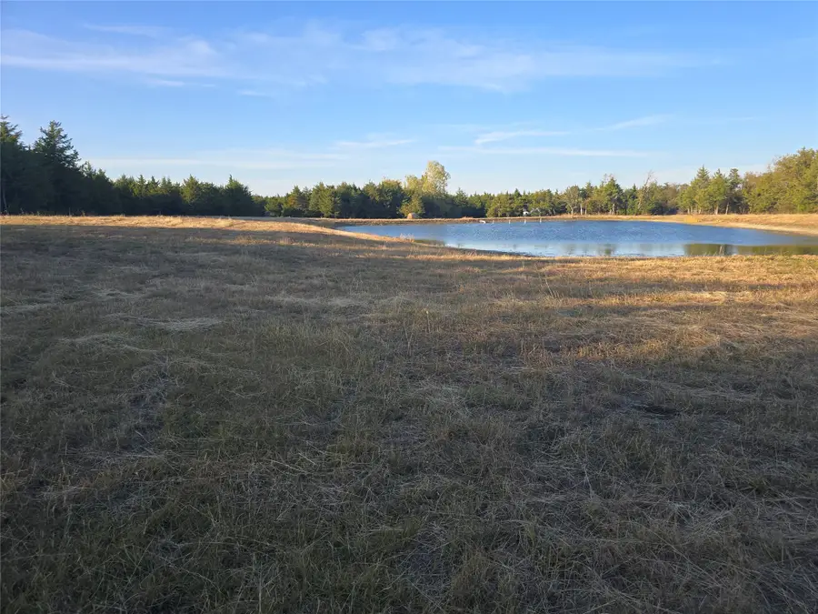 42Acres Fm 38 Tx, Honey Grove, TX 75446 - Image #3