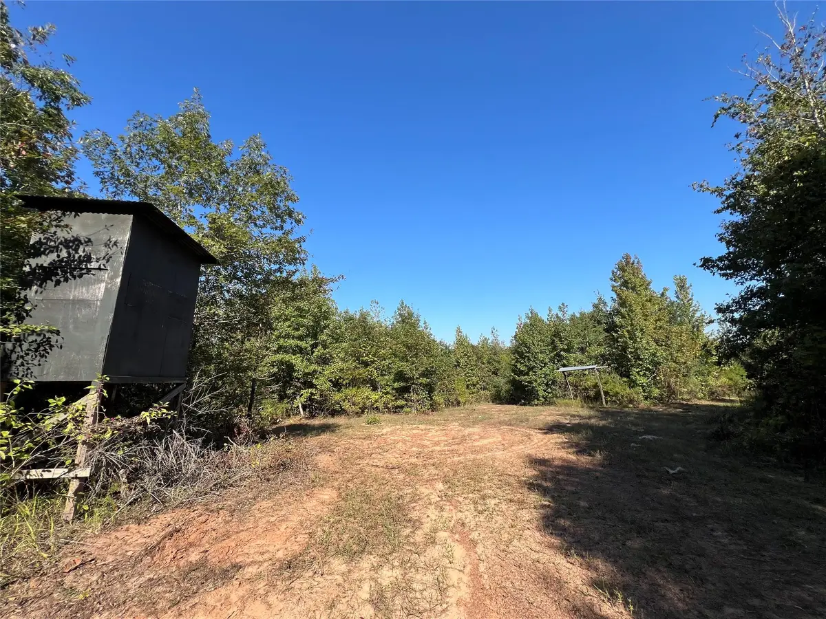 TBD Cr 1579-1, Avinger, TX 75630 - Image #1