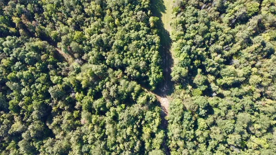 TBD Cr 1579-1, Avinger, TX 75630 - Image #2