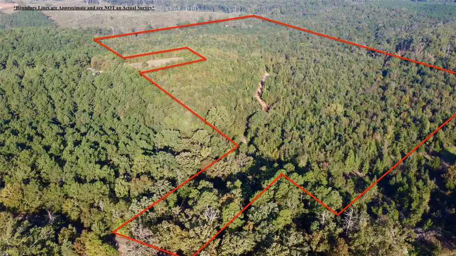 TBD Cr 1579-1, Avinger, TX 75630 - Image #3