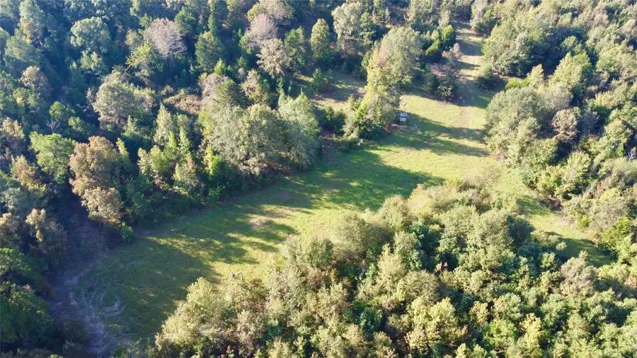 TBD Cr 1579-2, Avinger, TX 75630 - Image #2