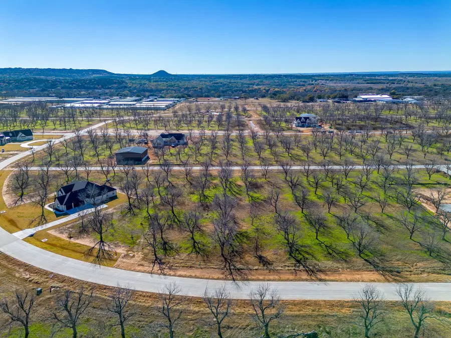 1437 Cirrus Loop, Granbury, TX 76049 - Image #3