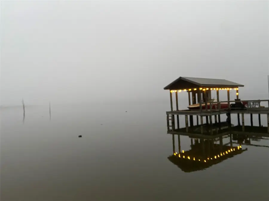 1219 County Road 2415, Leesburg, TX 75451 - Image #2