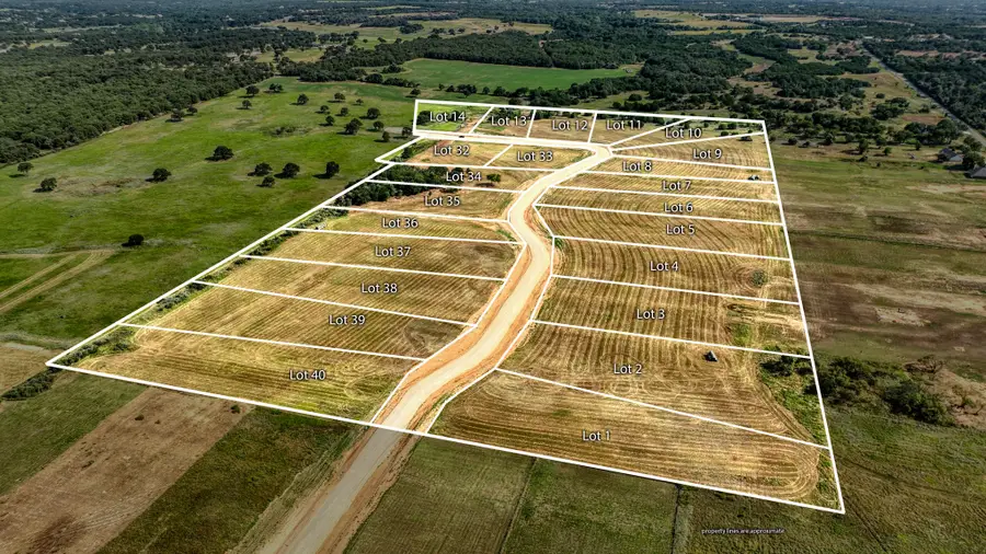 Lot 39 Three Quarter Loop, Poolville, TX 76487 - Image #2