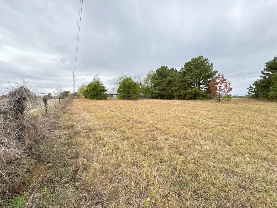 TBD Cr 4301 Plainview Rd, Omaha, TX 75571 - Image #3