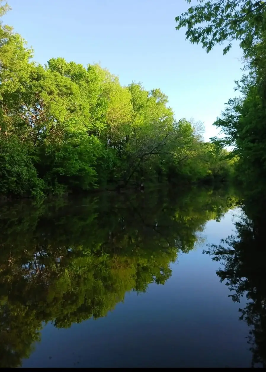 520 County Road 36980, Arthur City, TX 75411 - Image #3