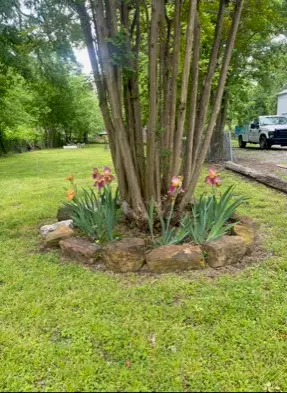 307 E Bois D Arc Street, Leonard, TX 75452 - Image #1