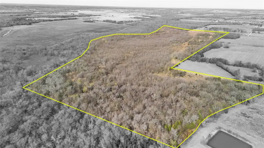 Tract 9 County Road 2158, Cooper, TX 75432 - Image #3