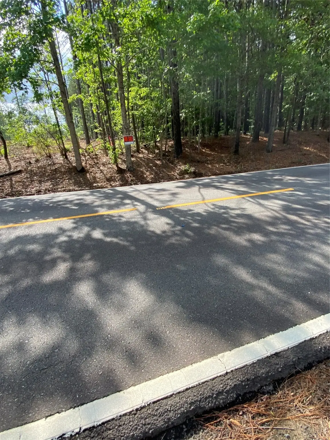 000 Old Plain Dealing Rd, Plain Dealing, LA 71064 - Image #1