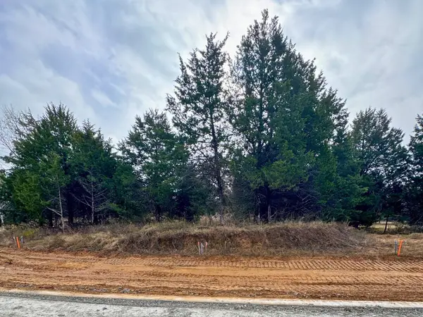 Lot 2 Reflection Bay Boulevard, Gordonville, TX 76245