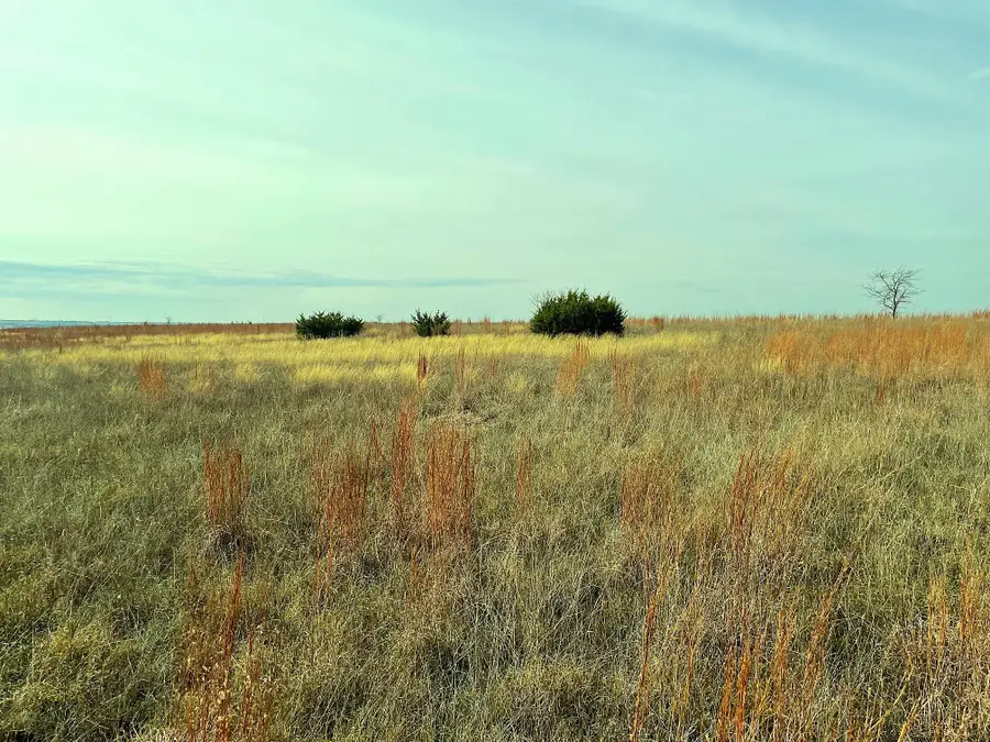 2245 County Road 619, Pottsville, TX 76565 - Image #3