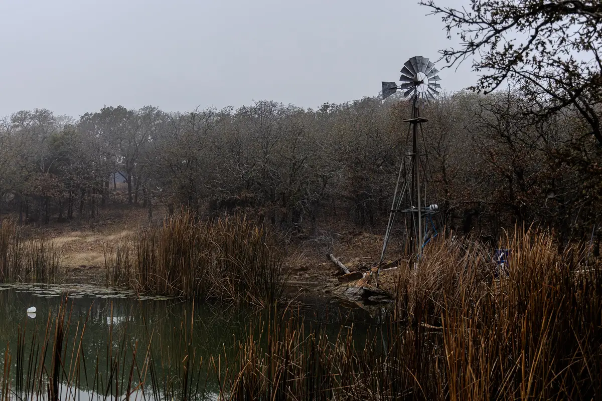 2946 Fm 52, Graford, TX 76449 - Image #1