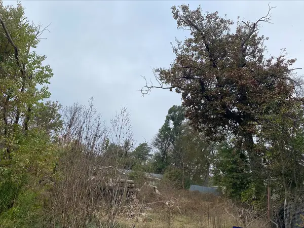 000 Shady Trl Road, Chandler, TX 75758