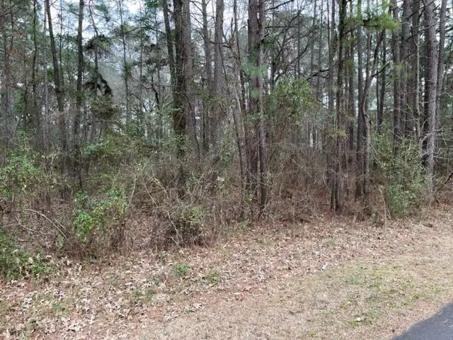 42, T Madonna Drive, Benton, LA 71006 - Image #3