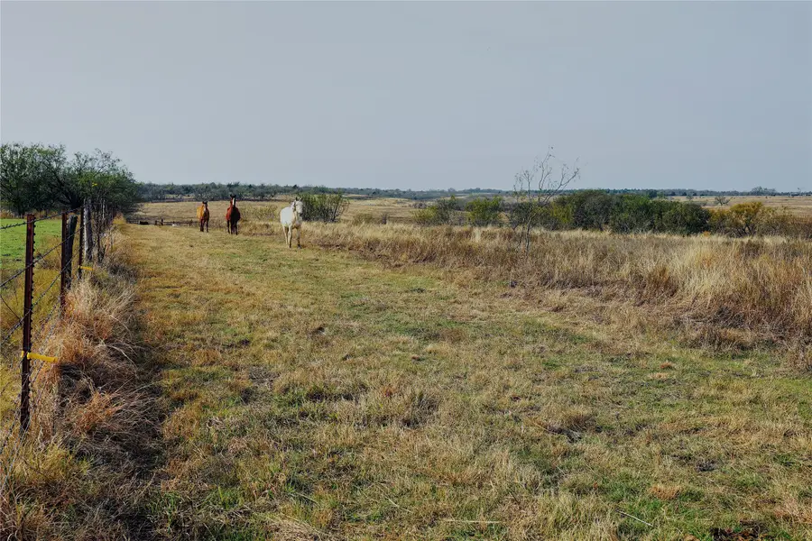 21481 SW County Road 4040, Dawson, TX 76639 - Image #3