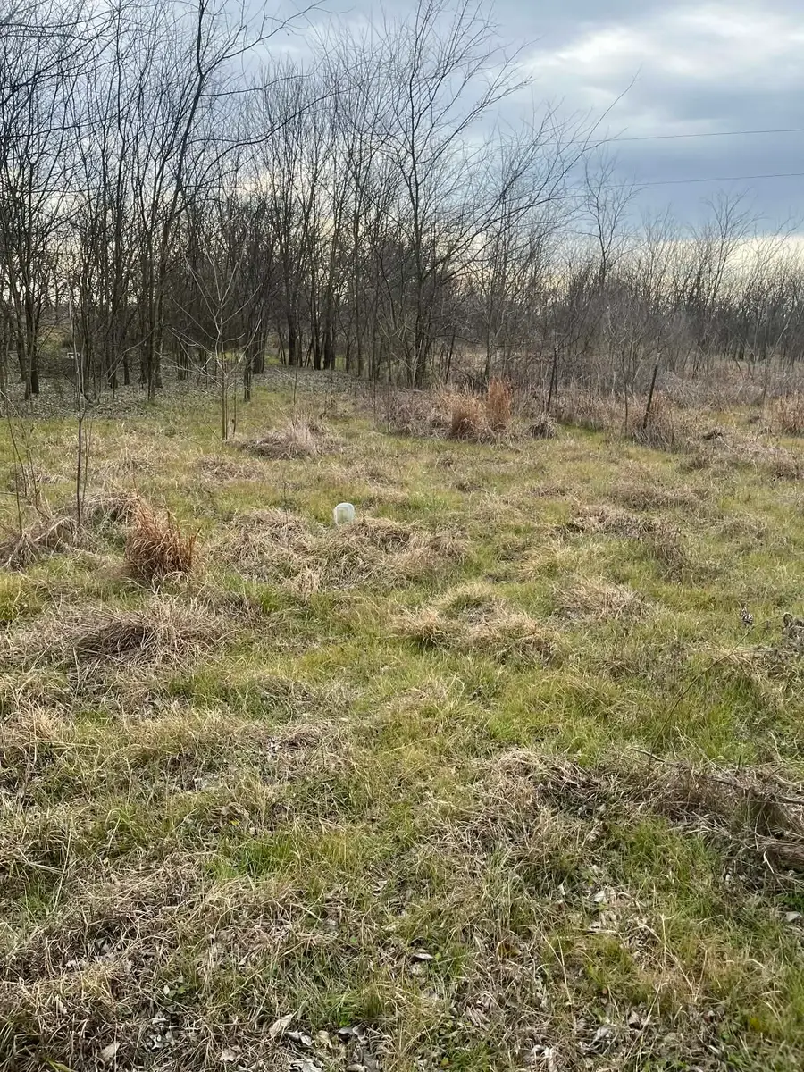 TBD Cr 4762, Sulphur Springs, TX 75482 - #2