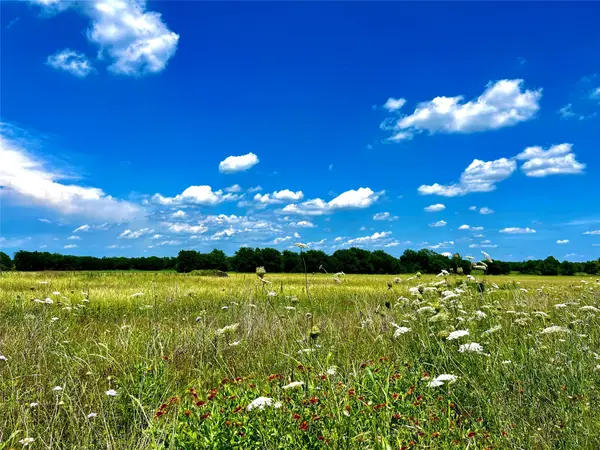 Lots 7, 8, & 9 Cr-590, Nevada, TX 75173