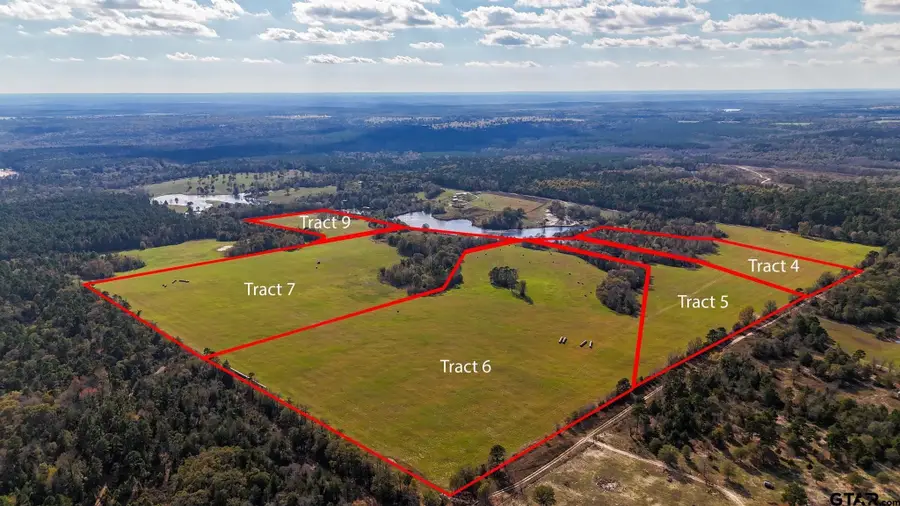 1040 County Road 3590 #Tract 6, Winnsboro, TX 75494 - Image #3