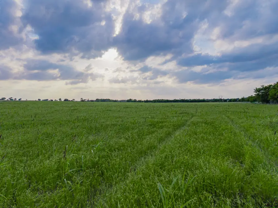 295 Turkey Run, Crawford, TX 76638 - Image #2